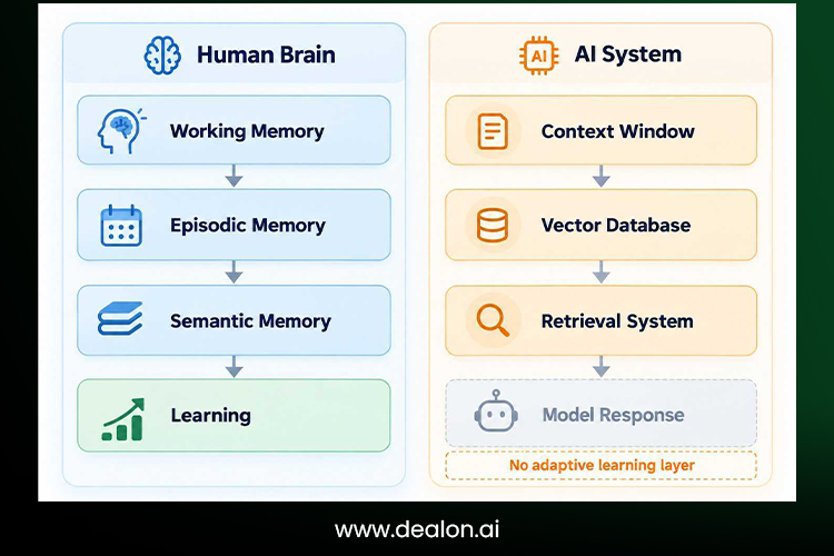 Human Brain Memory vs. AI Memory Architecture